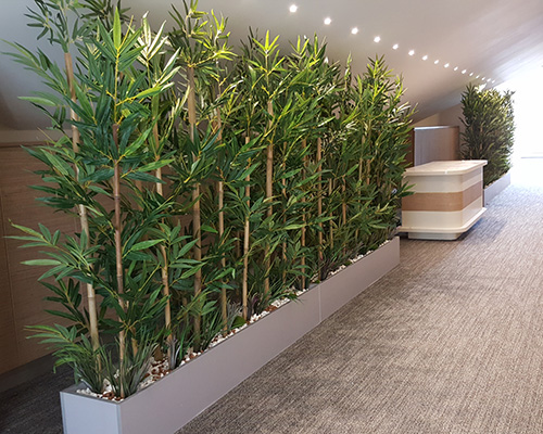 Bambu Dekorasyonlar