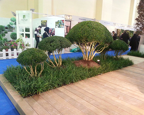 Bambu Dekorasyonlar