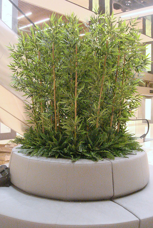 Bambu Dekorasyonlar