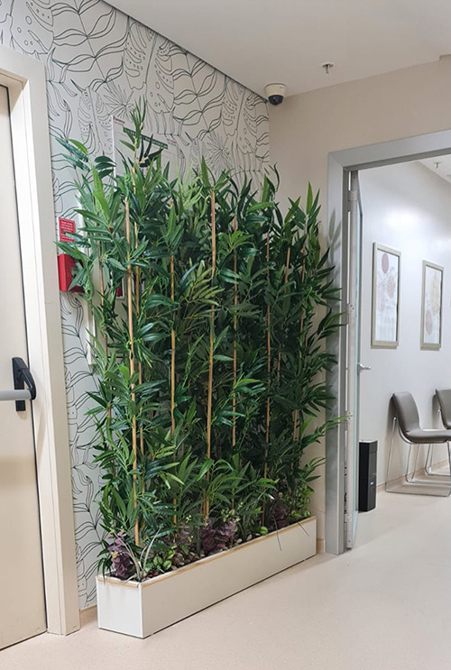 Bambu Dekorasyonlar